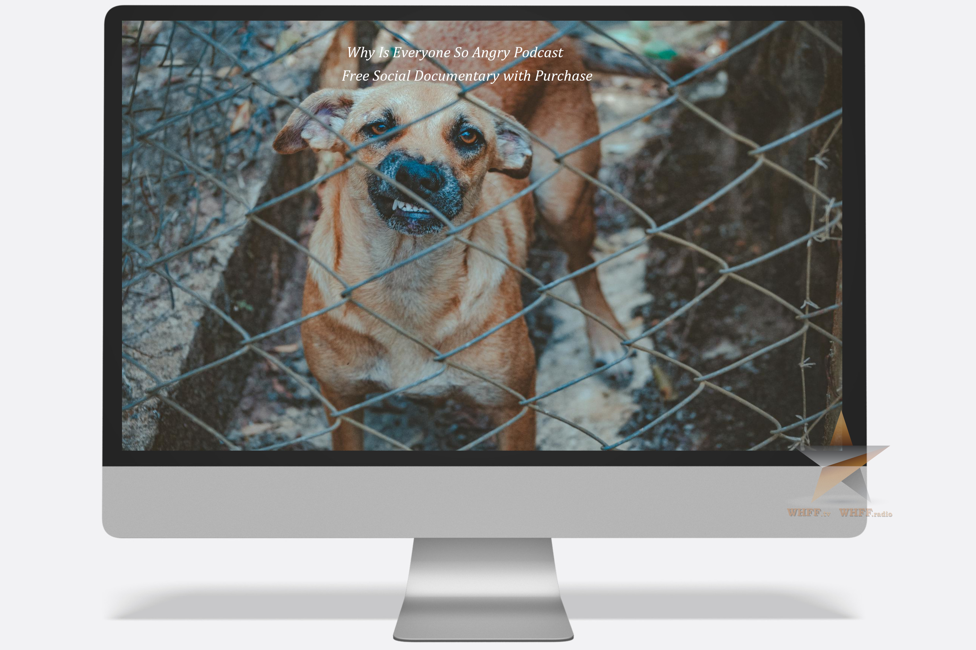 Product 6 front view duplicate