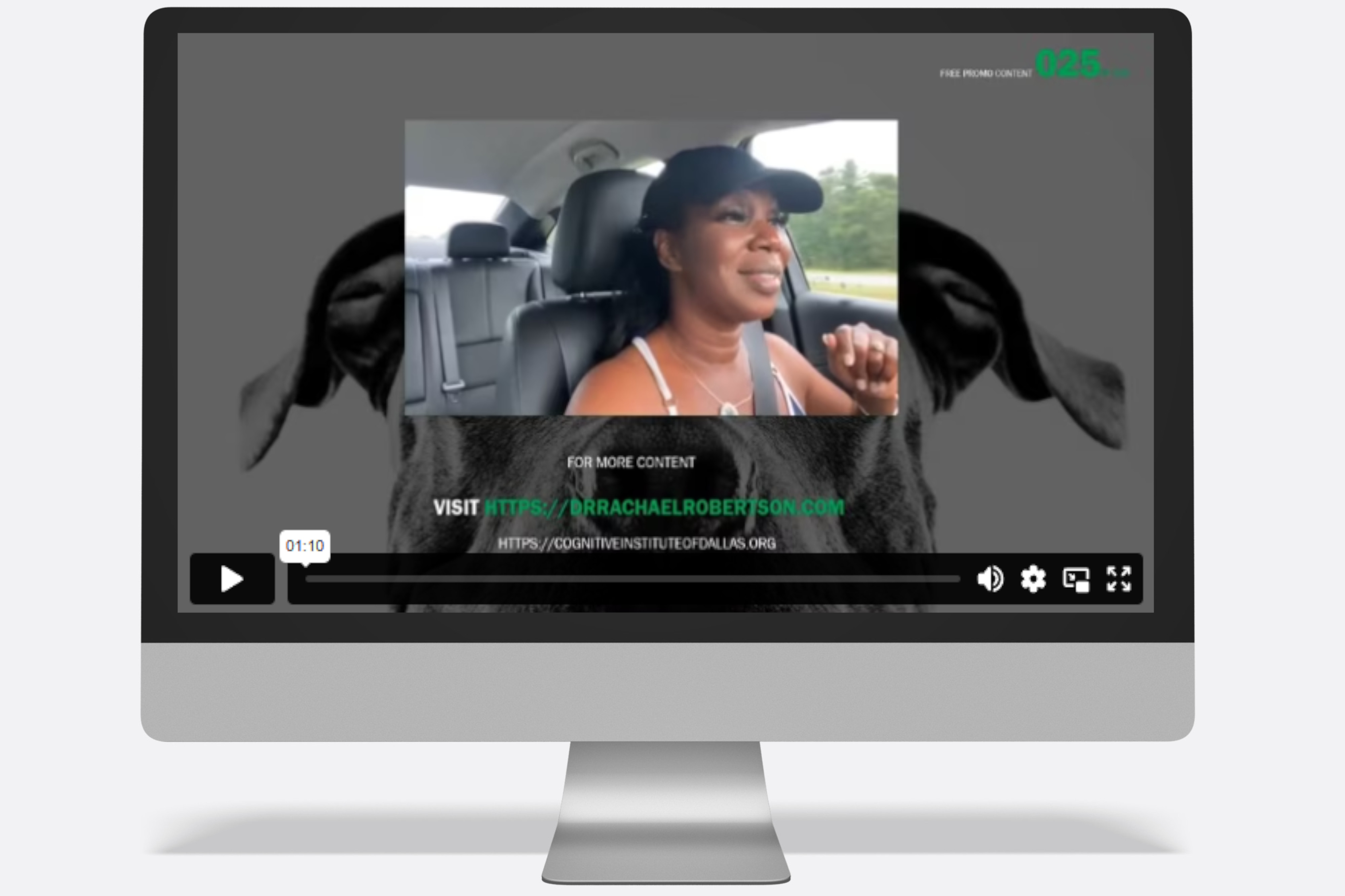 Affordable Bookstore for Rare and Collectible Books